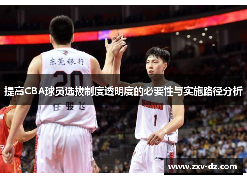 提高CBA球员选拔制度透明度的必要性与实施路径分析