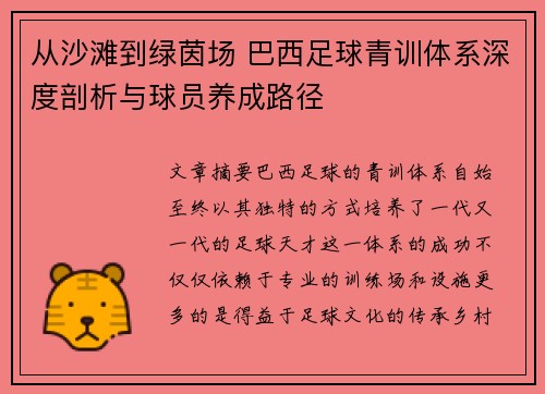 从沙滩到绿茵场 巴西足球青训体系深度剖析与球员养成路径